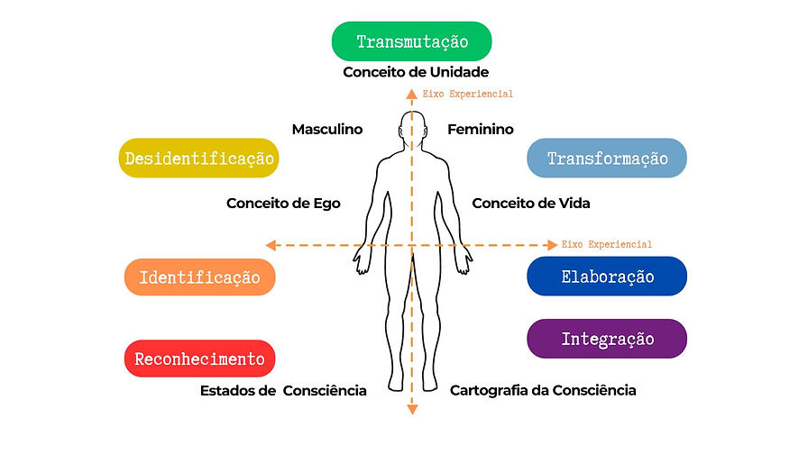 AIT - Metodologia | IVS